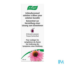 Afbeelding in Gallery-weergave laden, A.vogel Echinaforcemed Hot Drink Siroop 100ml
