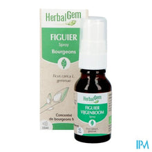Charger l'image dans la galerie, Herbalgem Vijgenboom Bio Spray 15ml

