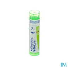 Charger l'image dans la galerie, Antimonium Tartaricum 5ch Gr 4g Boiron
