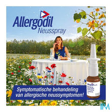 Load image into Gallery viewer, Allergodil Spray Nasal Fl 10ml
