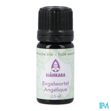 Afbeelding in Gallery-weergave laden, Sjankara Engelwortel Ess. Olie 2,5ml
