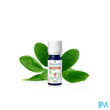 Charger l'image dans la galerie, Puressentiel Eo Ravintsara Bio 2x5ml
