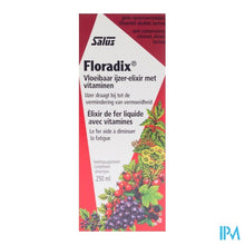 Load image into Gallery viewer, Salus Floradix Elexir 250ml
