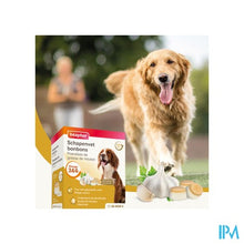 Afbeelding in Gallery-weergave laden, Beaphar Schapenvet Bonbons Mini's Knoflook 245g
