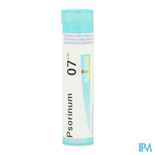 Afbeelding in Gallery-weergave laden, Psorinum 7ch Gr 4g Boiron

