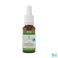 Bachbloesem Bio N43 Druppels Motivatie 20ml