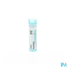 Load image into Gallery viewer, Asa Foetida 05ch Gr 4g Boiron
