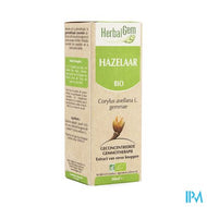 Herbalgem Hazelaar Maceraat 50ml
