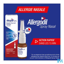 Load image into Gallery viewer, Allergodil Spray Nasal Fl 10ml
