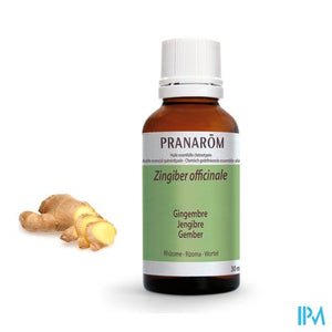 Gember Ess Olie 30ml Pranarom