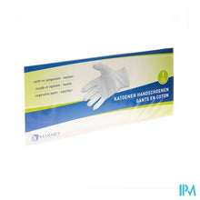 Bild in der Galerieansicht laden, Pharmex Glove Cotton Medium 2
