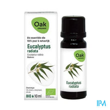Afbeelding in Gallery-weergave laden, Oak Ess Olie Eucalyptus Radiata 10ml Bio
