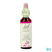 Charger l'image dans la galerie, Bach Flower Remedie 38 Willow 20ml
