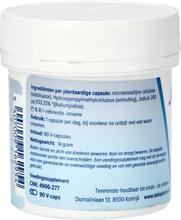 Afbeelding in Gallery-weergave laden, Jodium 200mcg V-caps 90 Deba
