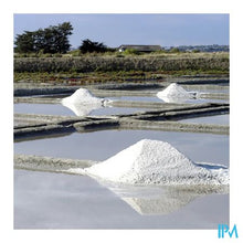 Load image into Gallery viewer, Zee Magnesium Amp 20x10ml Fitoform
