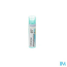 Charger l'image dans la galerie, Calcarea Phosphorica 7ch Gr 4g Boiron
