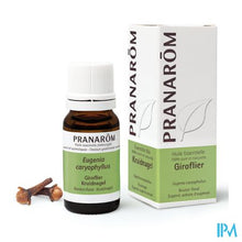 Load image into Gallery viewer, Pranarom Eo Kruidnagel 10ml
