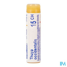 Charger l'image dans la galerie, Thuya Occidentalis 15ch Gl Boiron
