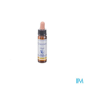 Healing Herbs Chicory 10ml