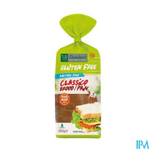 Charger l'image dans la galerie, Damhert Gluten Free Classico Brood 300g
