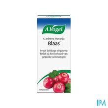 Load image into Gallery viewer, A.Vogel Cranberry Monarda Comp 30
