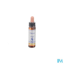 Afbeelding in Gallery-weergave laden, Healing Herbs Olive 10ml
