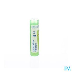 Lycopodium Clavatum 5ch Gr 4g Boiron