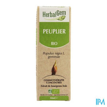 Charger l'image dans la galerie, Herbalgem Populier Maceraat 50ml
