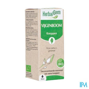 Herbalgem Vijgenboom Bio 30ml