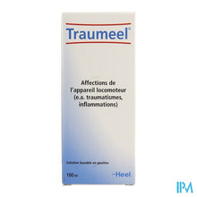 Load image into Gallery viewer, Traumeel Druppels 100ml Heel
