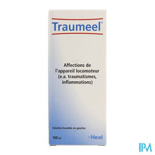 Afbeelding in Gallery-weergave laden, Traumeel Druppels 100ml Heel
