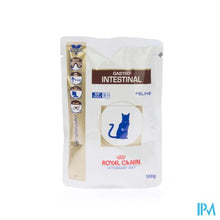 Load image into Gallery viewer, Vdiet Gastro Intestinal Feline (pouch) 12x100g
