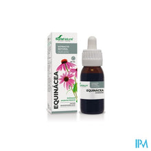 Load image into Gallery viewer, Soria Echinacea Purpurea Xxi Extr. Fl. 50ml
