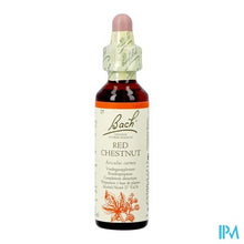 Afbeelding in Gallery-weergave laden, Bach Flower Remedie 25 Red Chestnut 20ml
