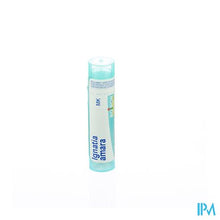 Load image into Gallery viewer, Ignatia Amara Mk Gr 4g Boiron
