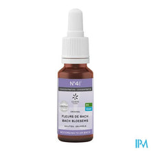 Afbeelding in Gallery-weergave laden, Bachbloesem Bio N°41 Druppels Concentratie 20ml
