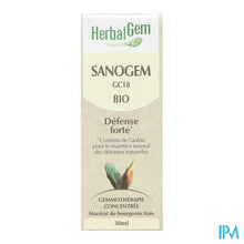Afbeelding in Gallery-weergave laden, Herbalgem Sanogem Bio 30ml
