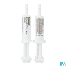 Charger l'image dans la galerie, Beaphar Intesto Pro Pasta Hond >15kg 2x20ml
