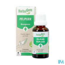 Charger l'image dans la galerie, Herbalgem Populier Bio 30ml
