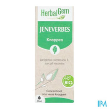 Afbeelding in Gallery-weergave laden, Herbalgem Jeneverbes Bio 30ml

