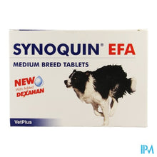 Charger l'image dans la galerie, Synoquin Medium Breed 10-25kg Tabl 120
