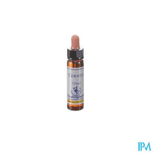 Afbeelding in Gallery-weergave laden, Healing Herbs Cerato 10ml
