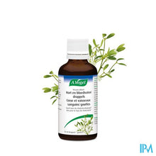 Afbeelding in Gallery-weergave laden, A.vogel Viscum Album Druppels 50ml
