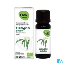 Afbeelding in Gallery-weergave laden, Oak Ess Olie Eucalyptus Globulus 10ml Bio
