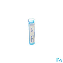 Charger l'image dans la galerie, Hydrastis Canadensis 9ch Gr 4g Boiron
