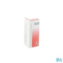 Charger l'image dans la galerie, Reckeweg Dr. R24 Gutt 50ml
