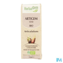 Charger l'image dans la galerie, Herbalgem Artigem Complex 15ml
