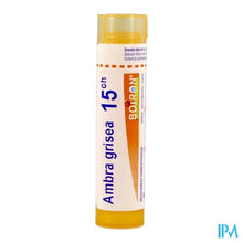 Afbeelding in Gallery-weergave laden, Ambra Grisea 15ch Gr 4g Boiron
