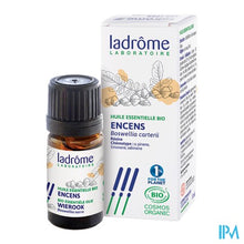 Afbeelding in Gallery-weergave laden, Ladrome Boswelia Carterii/wierook 5ml
