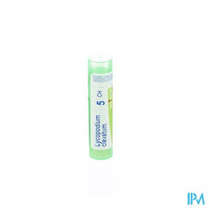 Lycopodium Clavatum 5ch Gr 4g Boiron